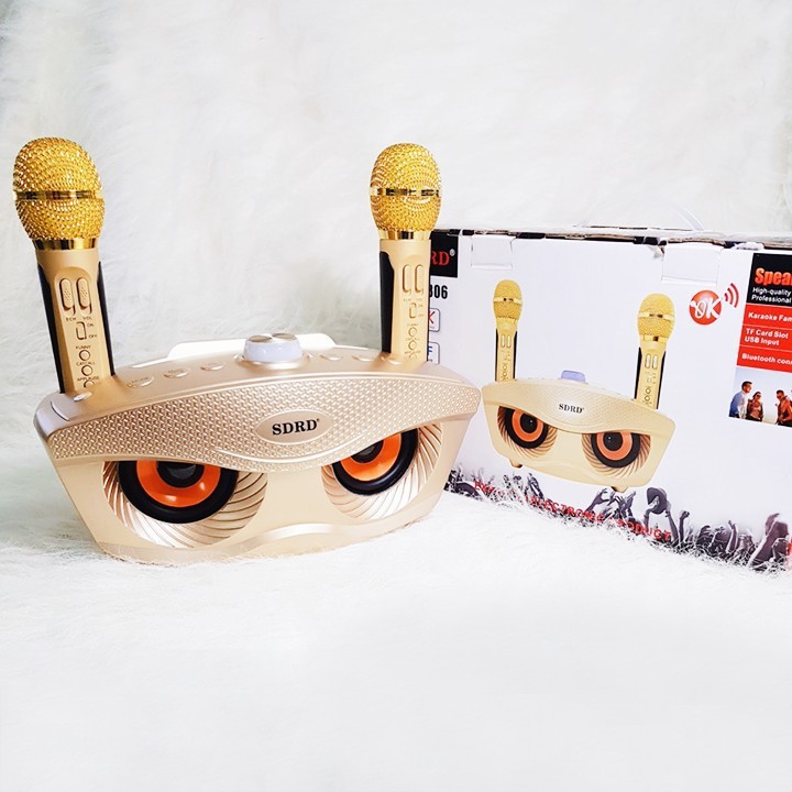 Loa Bluetooth Karaoke SD-306 mắt cú