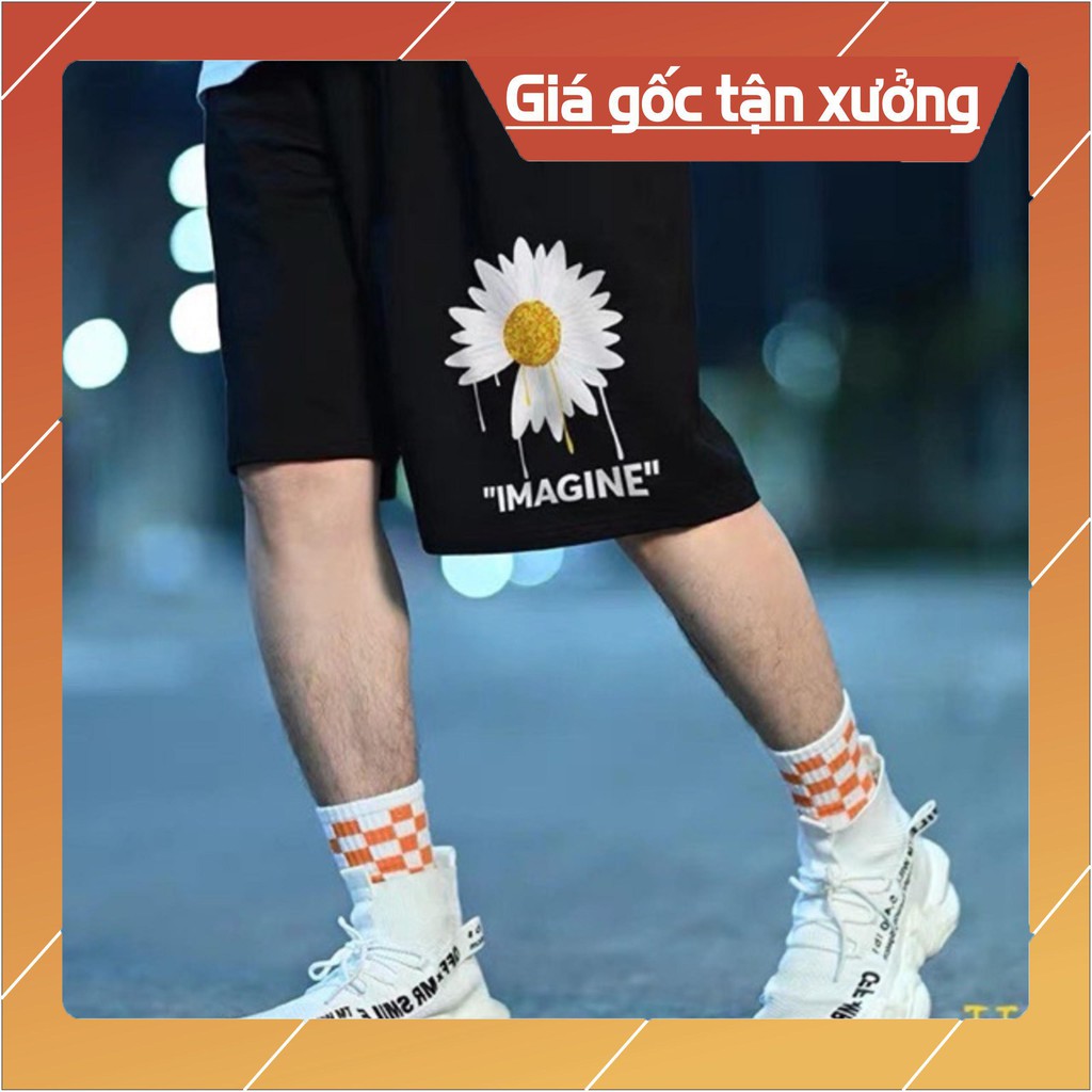 Quần đùi hoa cúc imagine HT12