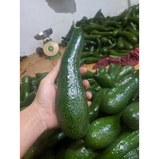 Bơ 034 Lâm Đồng loại 2-3