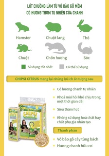 Lót chuồng cho thú cưng nhỏ Chipsi (Hamster, chuột, thỏ,...) (Mùn cưa lót chuồng)