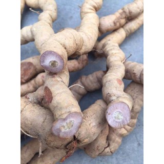 [Combo 2kg] Ba Kích Tươi Tách Sẵn