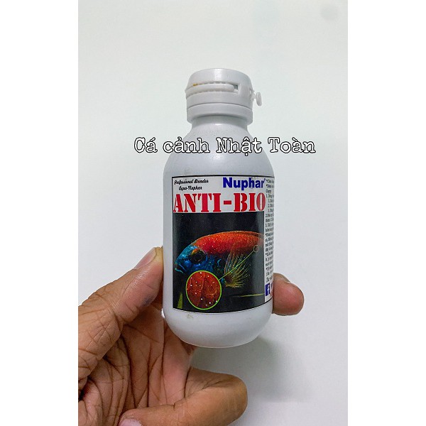 NUPHAR ANTI BIO VẤN ĐỀ NẤM TÚM LẮC MỤC ĐUÔI CHO CÁC LOẠI CÁ CẢNH