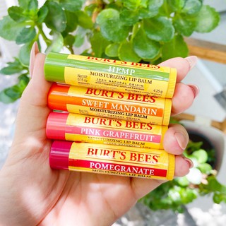 Son dưỡng không màu Burt's Bees 4.25g (có hương)