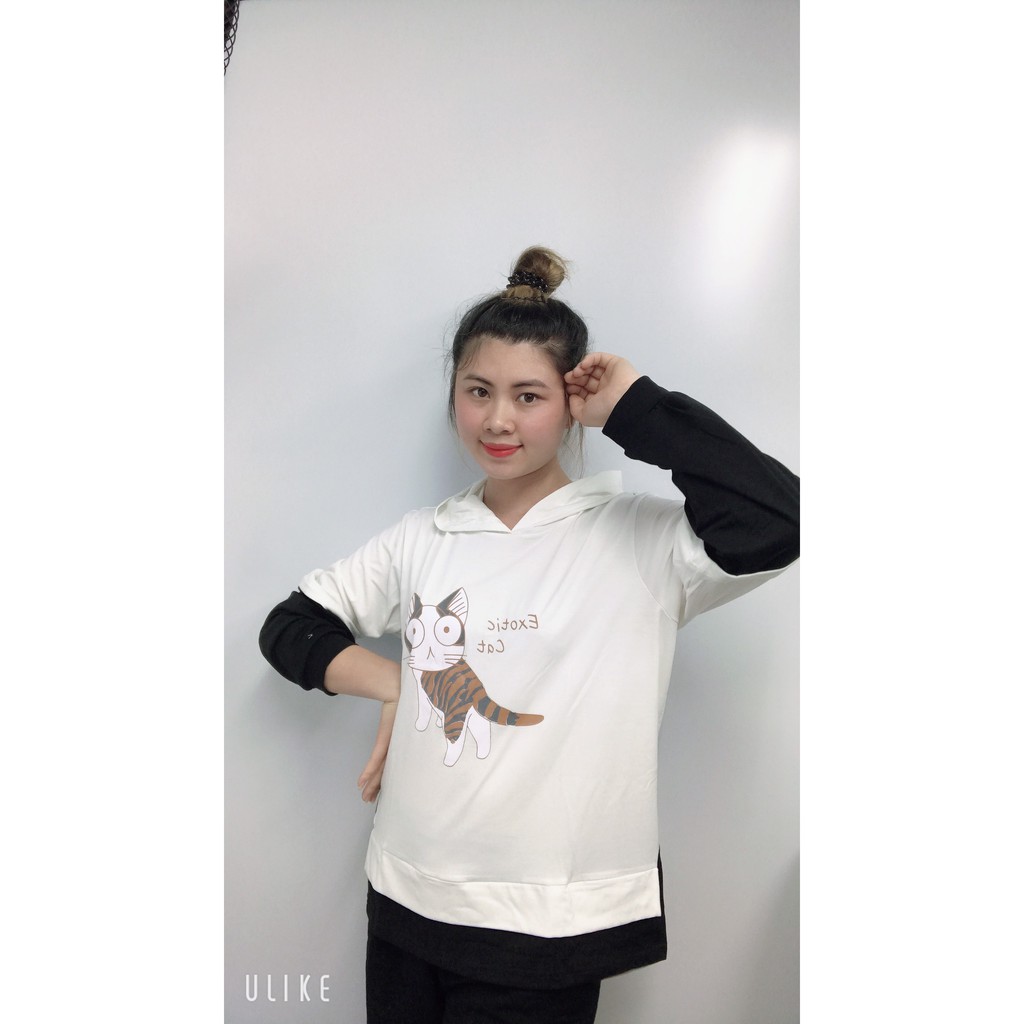áo hoodie nam nữ họa tiết mèo cute form rộng ( Mã M1) | BigBuy360 - bigbuy360.vn