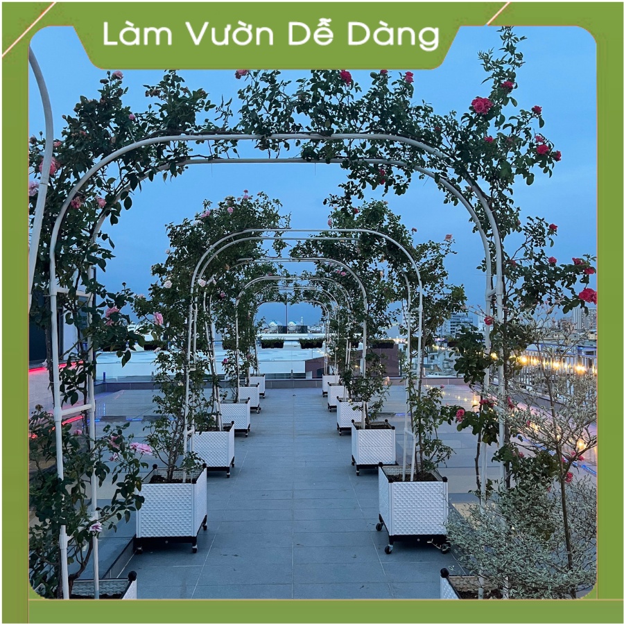 ✔ KHUNG CỔNG VÒM CAO 2M55 ✔ DÙNG ĐỂ ĐỠ CÂY CHO HOA HỒNG LEO, CÂY LEO THÀNH CỔNG VÒM.