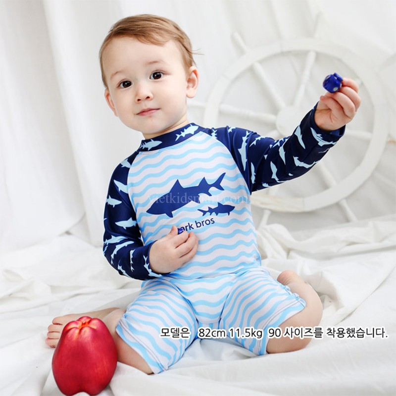Bộ bơi liền Cá mập kẻ sóng