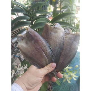 Khô cá sặc vừa ăn không mặn đặc sản đồng tháp