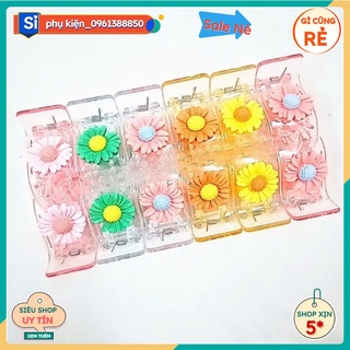 Cặp càng cua hoa cúc đủ màu ngẫu nhiên