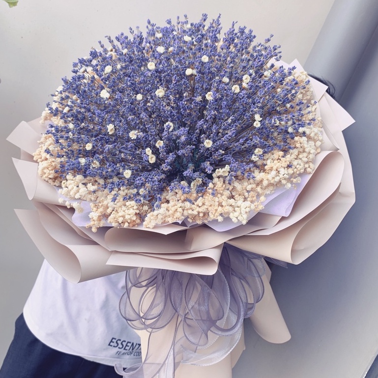 Quà tặng bó hoa Lavender tròn kết hợp snowy và baby trắng cực xinh xắn