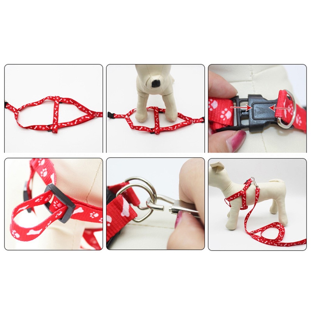 Dây dắt cho mèo đai yếm ngực, dây xích chó mèo - Hero Pet