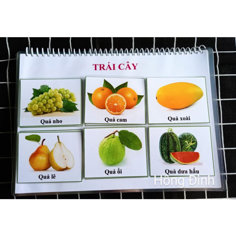 Học liệu 17 trang chọn lọc