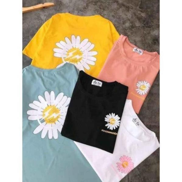 Đồ Bộ Nữ Quần Lửng Trơn Áo In Hoa Siêu Dễ Thương Mẫu Bán Chạy - HOT Hè 2020 | BigBuy360 - bigbuy360.vn