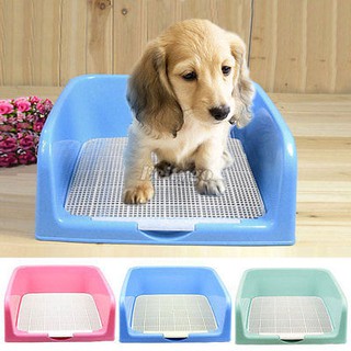 [FREESHIP] Khay vệ sinh cho chó sỉ SLL