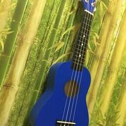 ĐÀN UKULELE CONCERT GỖ NHIỀU MÀU SẮC TẶNG KÈM PHỤ KIỆN- HÀNG CÓ SẴN