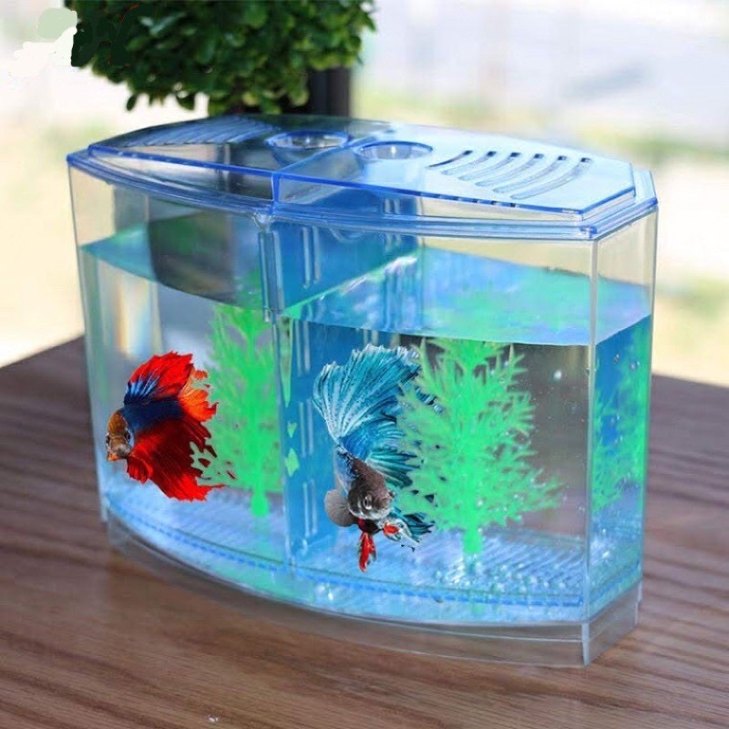  Bể nhựa nuôi cá Betta mini 2 in 1, hồ cá để bàn size 20x14x10 cm