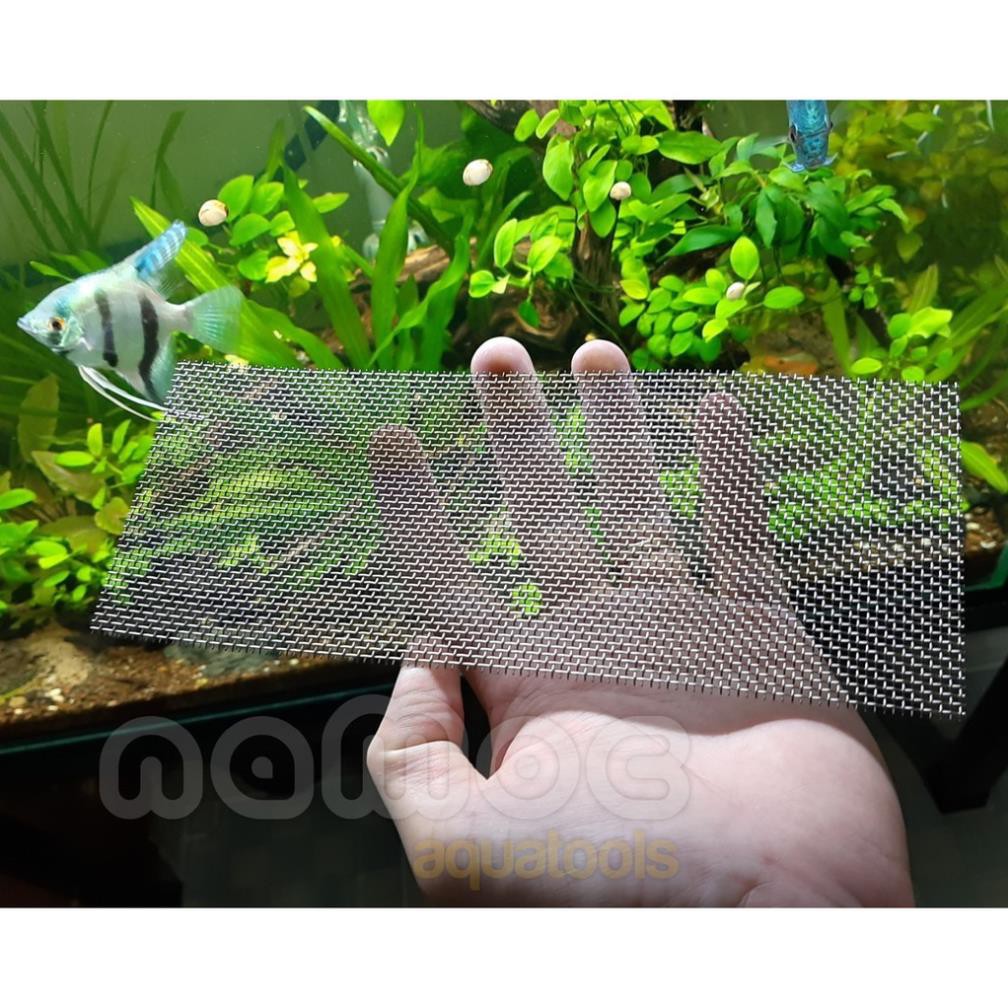 Vỉ Buộc rêu Inox - Vỉ ươm rêu thuỷ sinh