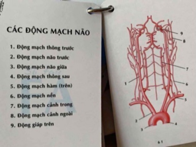 Sổ tay FA - Bản tiếng Việt