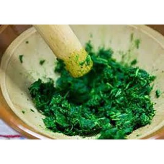 BỘT LÁ NGẢI CỨU 50G