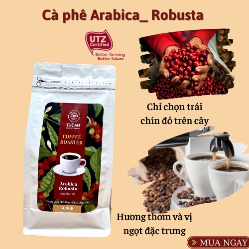 Cà phê Arabica- Robusta Tuệ An cafe rang xay nguyên chất bột hạt 3Arabica- 7Robusta pha phin pha máy