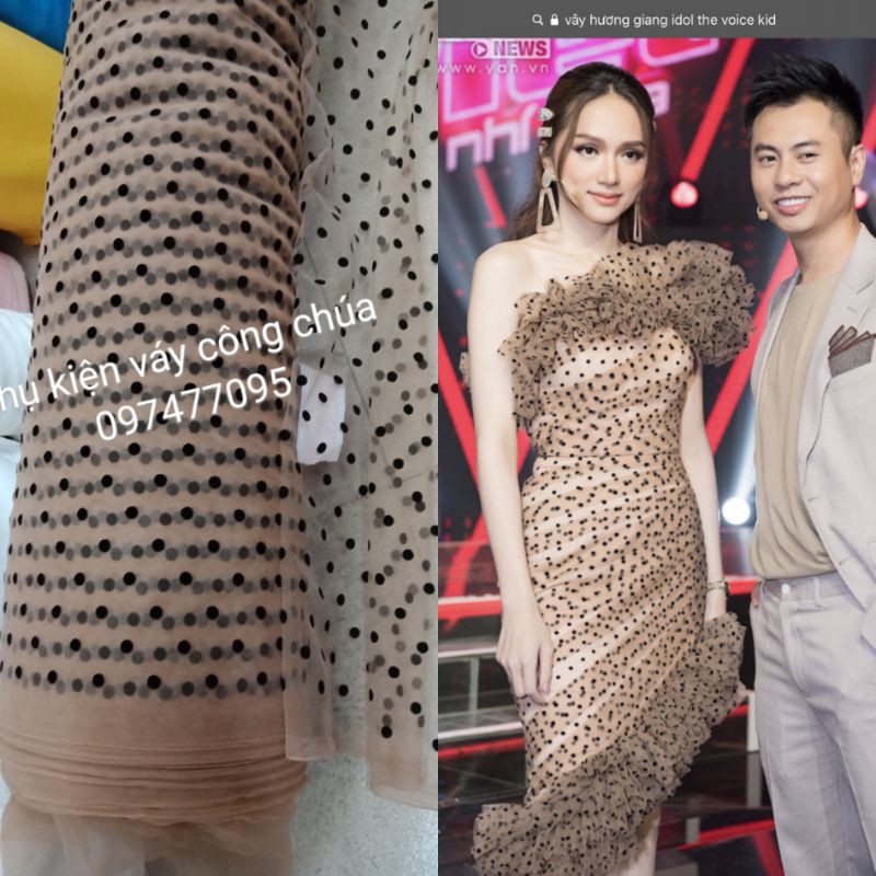 Voan lưới bi chấm nhung