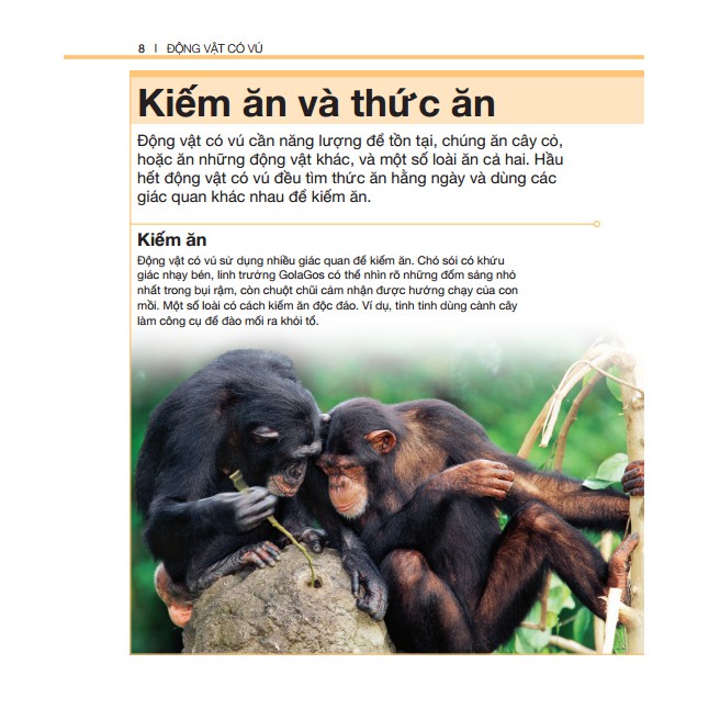 Sách - Bách khoa thiếu nhi động vật có vú (bìa cứng) Tặng Kèm Bookmark