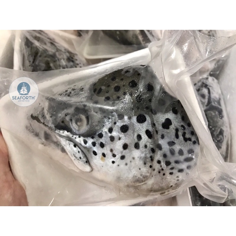 Đầu cá hồi Na Uy v-cut / Salmon head