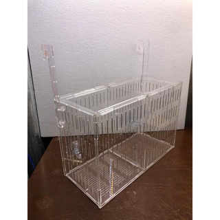 Box/ lồng dưỡng tách cá mica cao cấp (40x15x15)