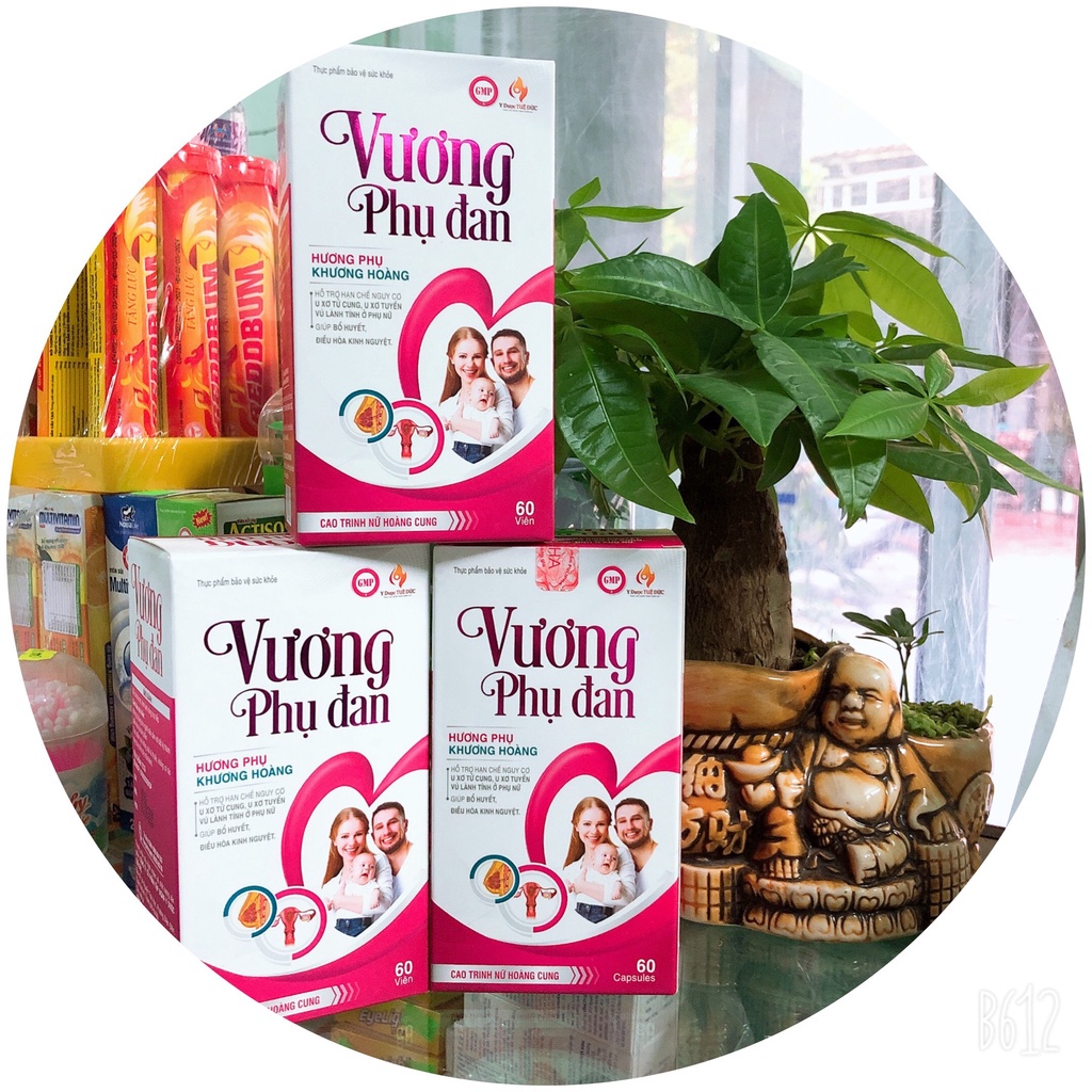 Vương Phụ Đan giúp điều hoà nội tiết