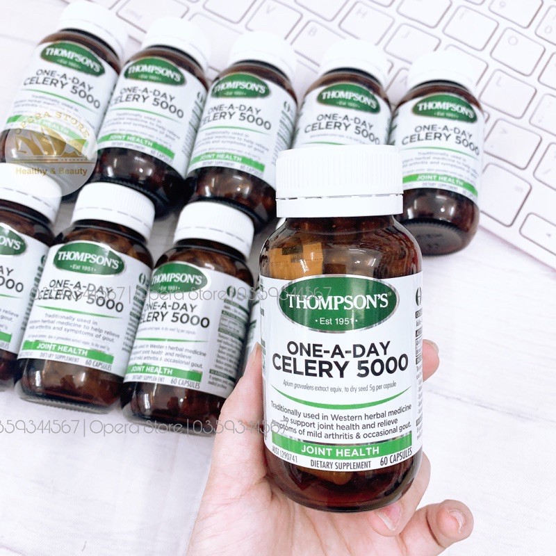 Thompson's One-a-day Celery Seed 5000mg 60 viên Gout | Thế Giới Skin Care