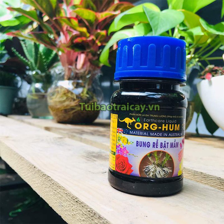 Phân bón bung rễ, bật mầm cho hoa cây cảnh Org Hum 100ml - T105