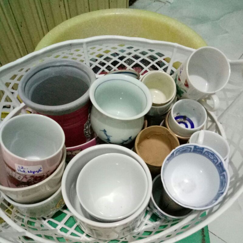 Chậu gốm mini trồng sen đá