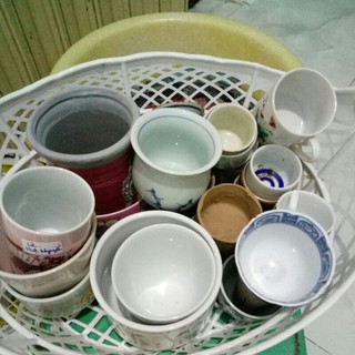 Chậu gốm mini trồng sen đá