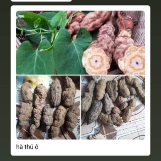 1kg Hà thủ ô đỏ tươi rừng tây bắc.hình ảnh thật cua shop