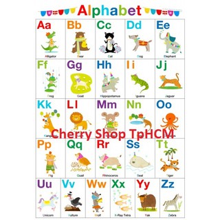 🍒 Tranh in bảng chữ cái tiếng Anh cho bé size A4 20x30 cm nhiều mẫu