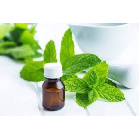 [Rẻ vô địch] - TINH DẦU BẠC HÀ ĐUỔI CHUỘT HIỆU QUẢ - 10ml | BigBuy360 - bigbuy360.vn