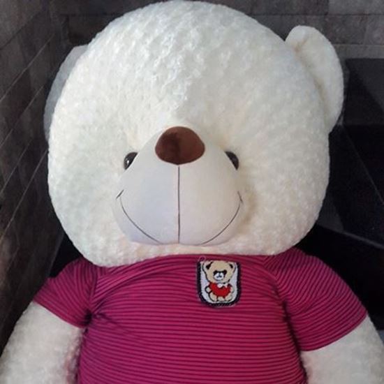 Gấu bông Teddy cao cấp khổ vải 1m4 màu Kem