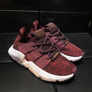 Full box giày thể thao adidas prophere màu mận chín