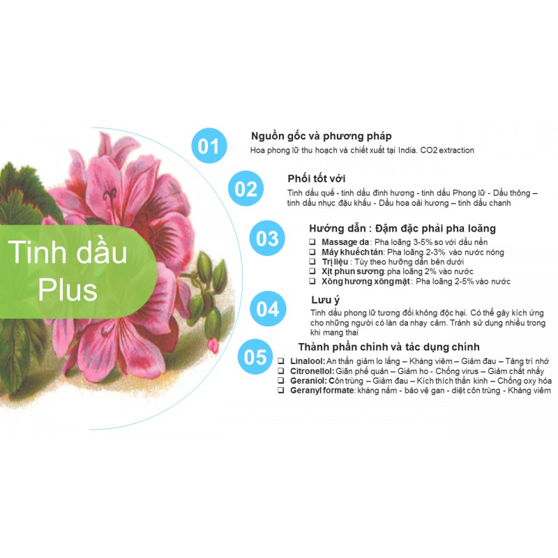 Tinh dầu phong lữ plus 20ml – Geranium EO nguyên chất thiên nhiên Ấn Độ – Quyến rũ, thanh lịch | BigBuy360 - bigbuy360.vn
