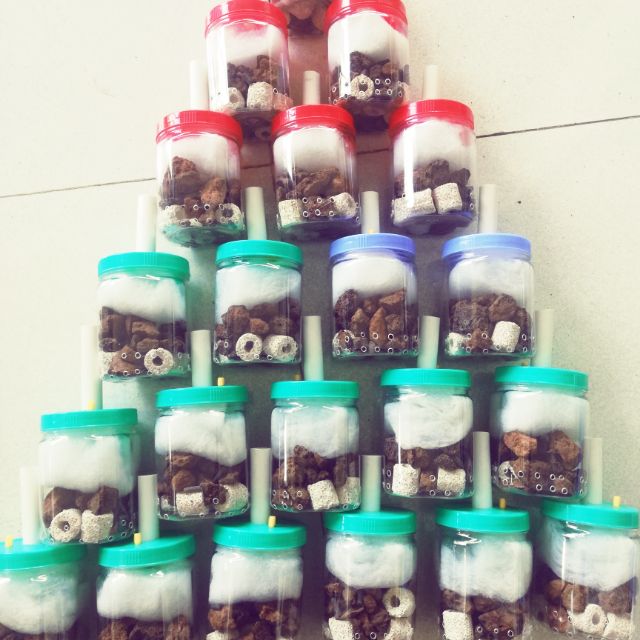 Lọc vi sinh cho cá cảnh làm thủ công