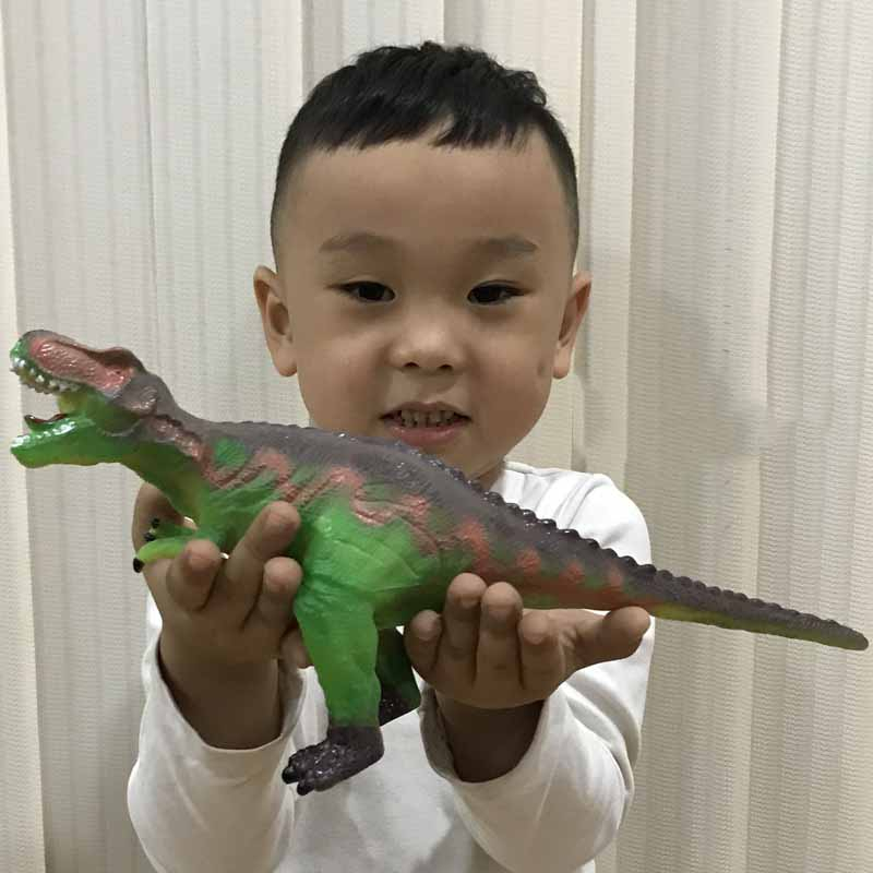 Mô Hình Đồ Chơi Khủng Long Tyrannosaurus Stegosaurus Dành Cho Bé Trai