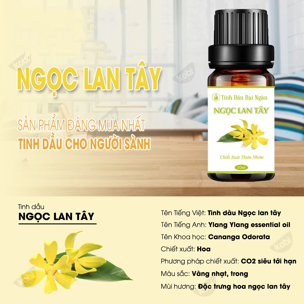 Tinh Dầu Hoa Ngọc Lan Tây 10ml