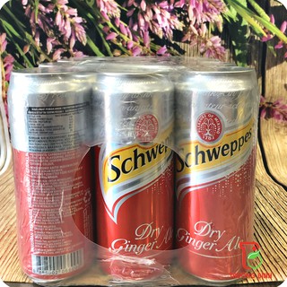 Set 6 lon Nước Gừng  320ml ( Ginger Ale)