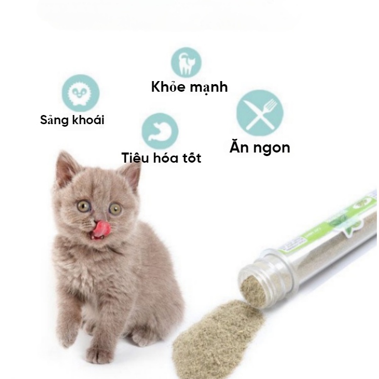 Ống Cỏ mèo bạc hà Catnip