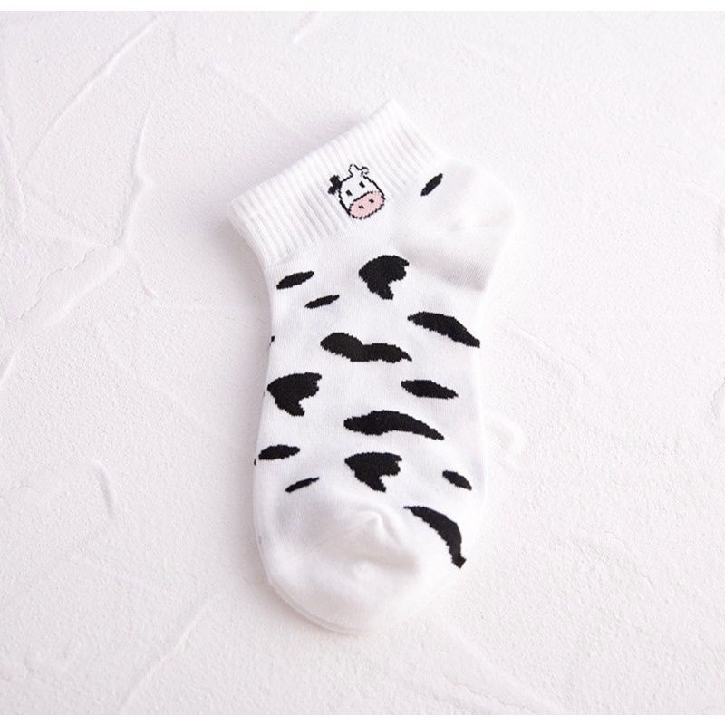 sỉ 10 đôi tất bò sữa coton