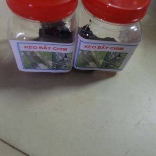 Keo bẫy chim siêu dính
