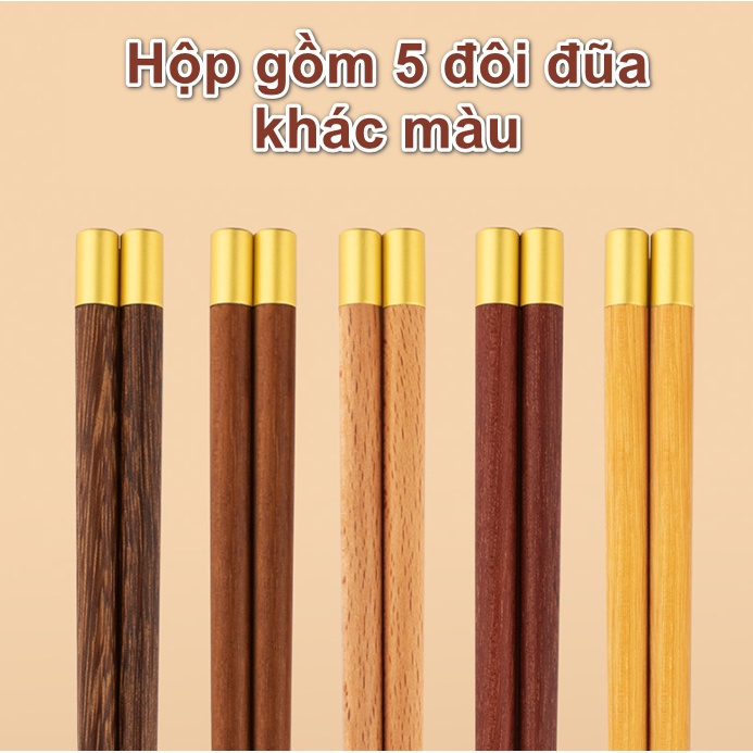Bộ 5 đôi đũa gỗ nhiều màu đuôi họa tiết mạ vàng T24