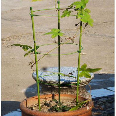 ( HOT ) Giá đỡ hoa hồng, cây leo, cà chua cao 75cm, 90 cm