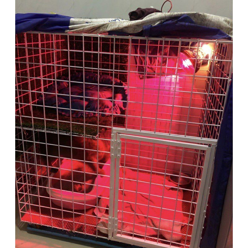 Bóng úm hồng ngoại 45w, 75w, 100w, 150w, 175w,200w,200w, 250w