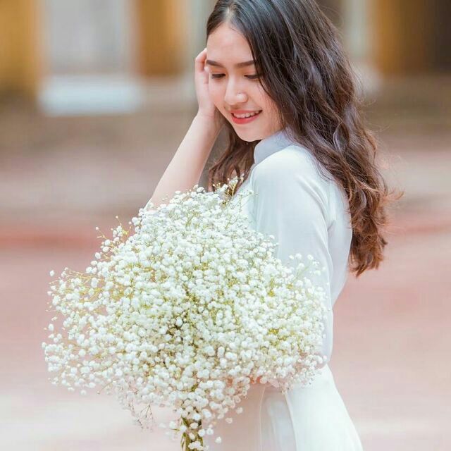 Hoa baby cầm tay
