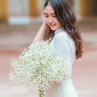 Hoa baby cầm tay